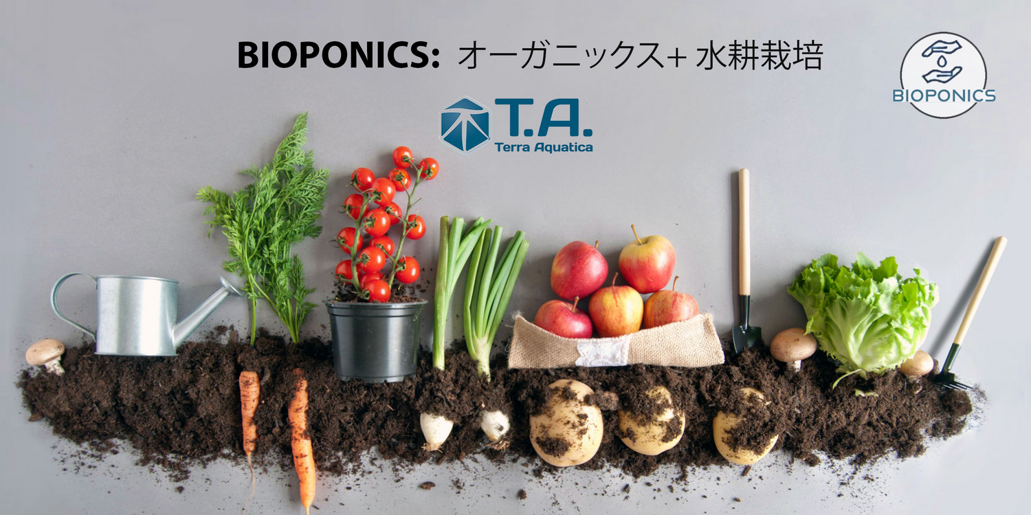 バイオポニックスとは、General Hydroponics Europe（現Terra Aquatica）の創設者である水耕栽培のベテラン、William Texierによって考案された水耕栽培の方法です。