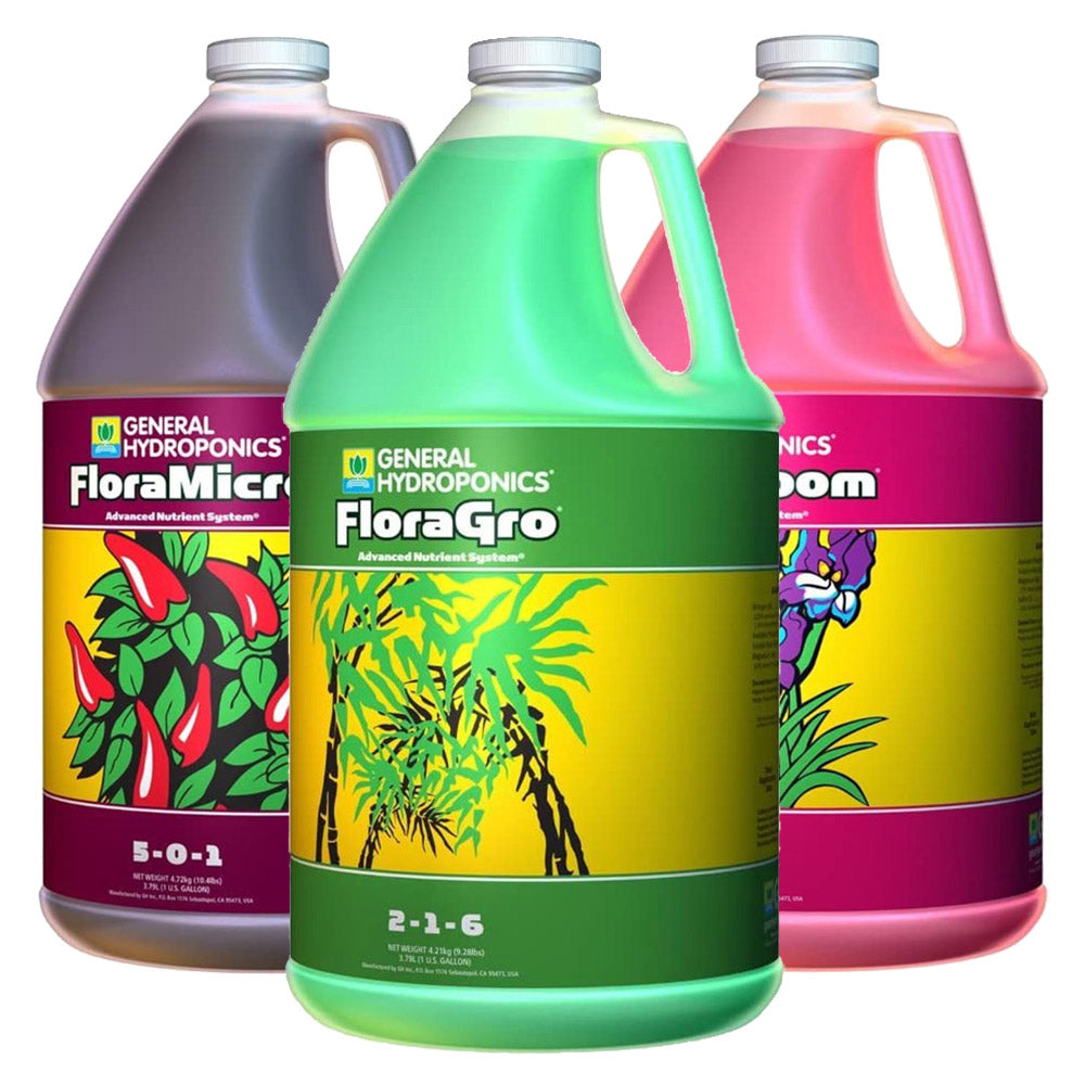 水耕栽培肥料 液体肥料 GH フローラ BLOOM (3.78L)